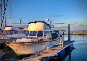 Motor Yacht Sea Wolf